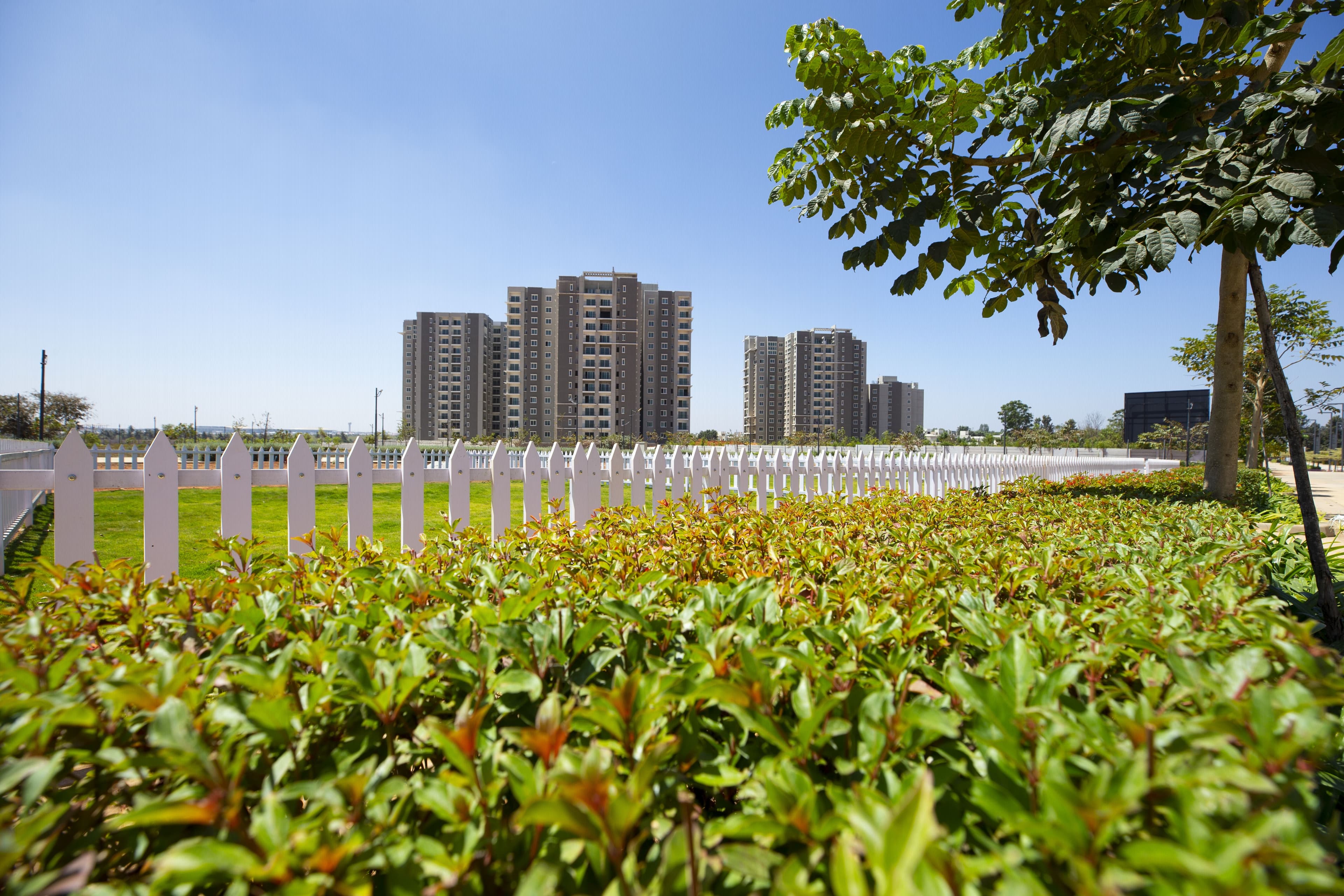 A land that turns luxurious dream into reality