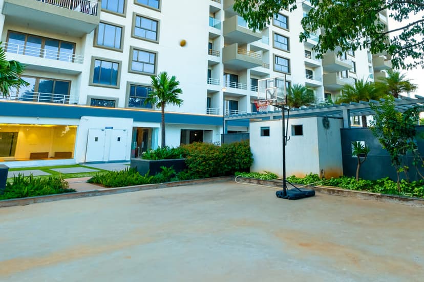 Basketball & Multipurpose Courts